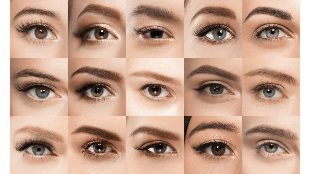 Different Eye Shapes for Females Explained